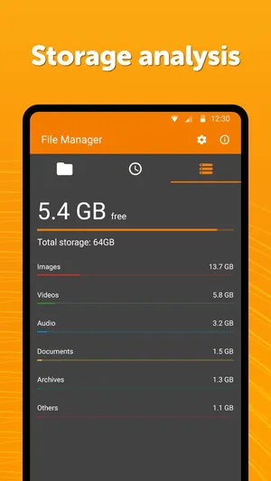 Simple File Manager Pro